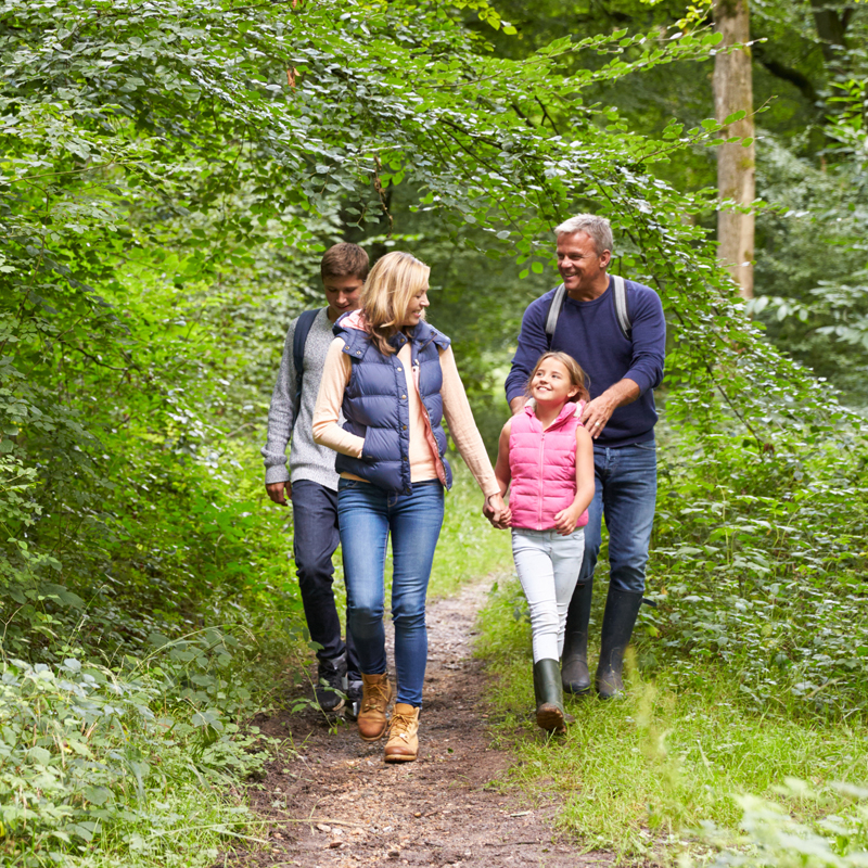 Ferienwanderung mit dem Förster